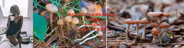 кокаин перу Ельня