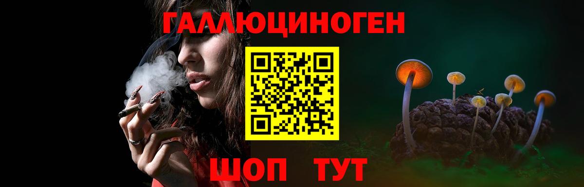 Канск  Галлюциногенные грибы Psilocybe  Вход с VPN 